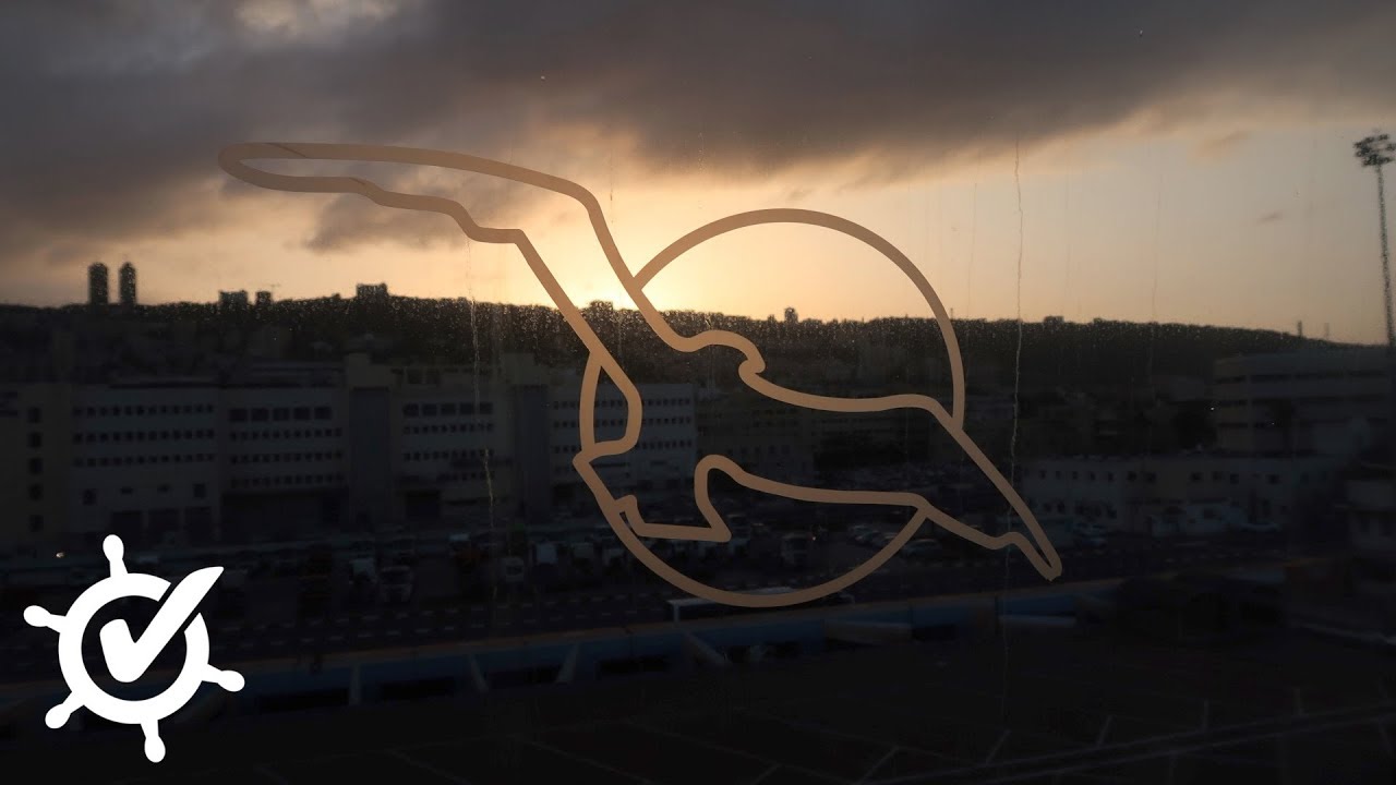 MS Amadea: Fazit meiner ersten Kreuzfahrt mit Phoenix Reisen