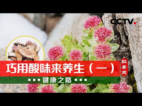 五行草功效