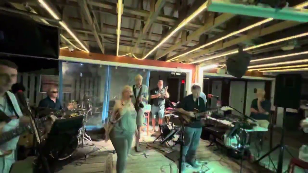 Promotional video thumbnail 3 for Cat-a-Tonic