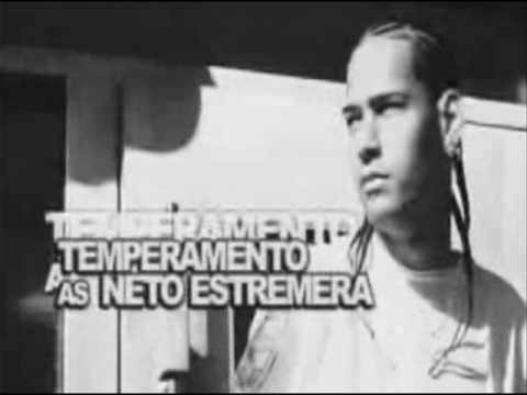 temperamento gorilla operation