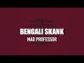 Bengali Skank (Extended Version)