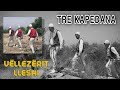 Vëllezërit Lleshi - Tre Kapedana