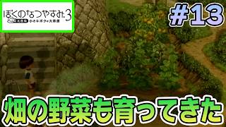 【初見】今年もきたぜ！あの頃の夏に戻って懐かしくなろう!! #13【ぼくのなつやすみ3】【ぽんすけ】