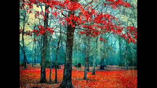 John Adorney - Safe Haven