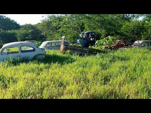 Mais um vídeo no sítio do dói em Assaí Paraná