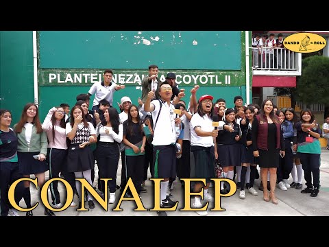 CONSEJOS PARA SOBREVIVIR EN EL CONALEP - Dando El Roll E88 - Josuesy y Lalo Elizarrarás