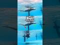 How To Stand In Water Swimming Tips For Beginners Swimming Swimmingpool Swim