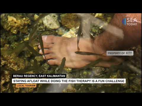 Telaga Biru Lake is a Beautiful Hidden Gem in East Kalimantan