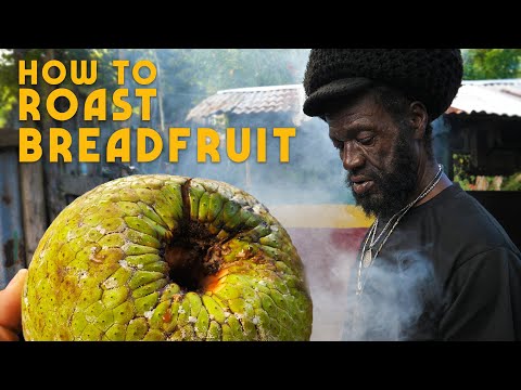 How to Roast Breadfruit! (and tasting the strongest Roots Tonic EVER)