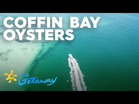 download lagu mp3 mp4 Bay Of Islands Oysters, download lagu Bay Of Islands Oysters gratis, unduh video klip Bay Of Islands Oysters