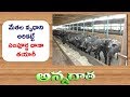 TMR  | Total Mixed Ratio For Complete Nutrition | Dairy Farms || ETV Annadata