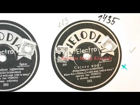 "Cztery nogi" - Tadeusz Faliszewski/Petersburski/Schlechter