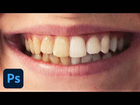 How to Set Up and Use a Wacom Tablet