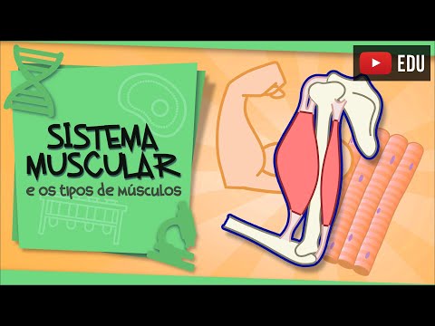 Muscle Tissue - and the types of muscles