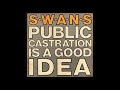 Swans - Fool