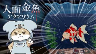 8/20【 #人面金魚アクアリウム 】　ʕ  ·ᴥ·ʔ お盆過ぎたのでホラゲします！ ʕ·ᴥ·  ʔ　【 #フリーゲーム 】