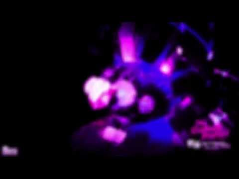 Will Sparks vs. Martin Garrix vs. Sak Noel - Loco Animals (Crazy Rabbits Remix)