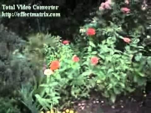 download lagu mp3 mp4 Prg Zwalniajcy, download lagu Prg Zwalniajcy gratis, unduh video klip Prg Zwalniajcy