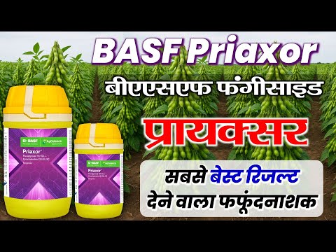 Basf Priaxor fungicide | बीएएसएफ प्रायक्सर |  Fluxapyroxad + Pyraclostrobin SC | Best fungicide