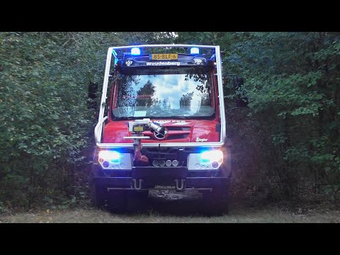 Bosbrand in het Zeisterbos | Meerdere brandweervoertuigen met spoed