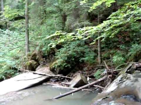 Valea Tarcaului Neamt 01