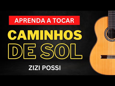 O Amor E A Rosa - Zizi Possi
