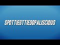 Outkast - SpottieOttieDopaliscious (Lyrics)