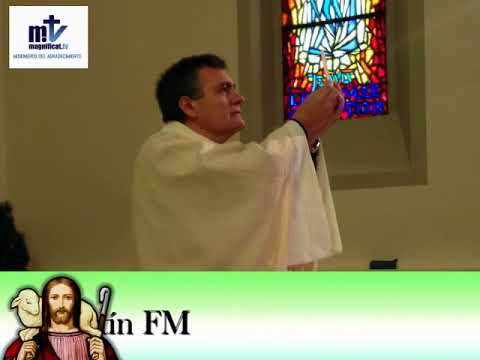 Homilía. Solemnidad de Asunción de la Santísima Virgen María. 15/08/18 P. Santiago Martín, FM