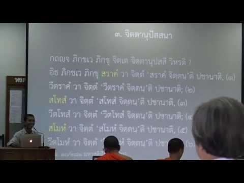 011-สติปัฏฐานภาวนา11; จิตตานุปัสสนา