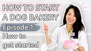 How to start a Dog Bakery Business // Episode 1: How to get started