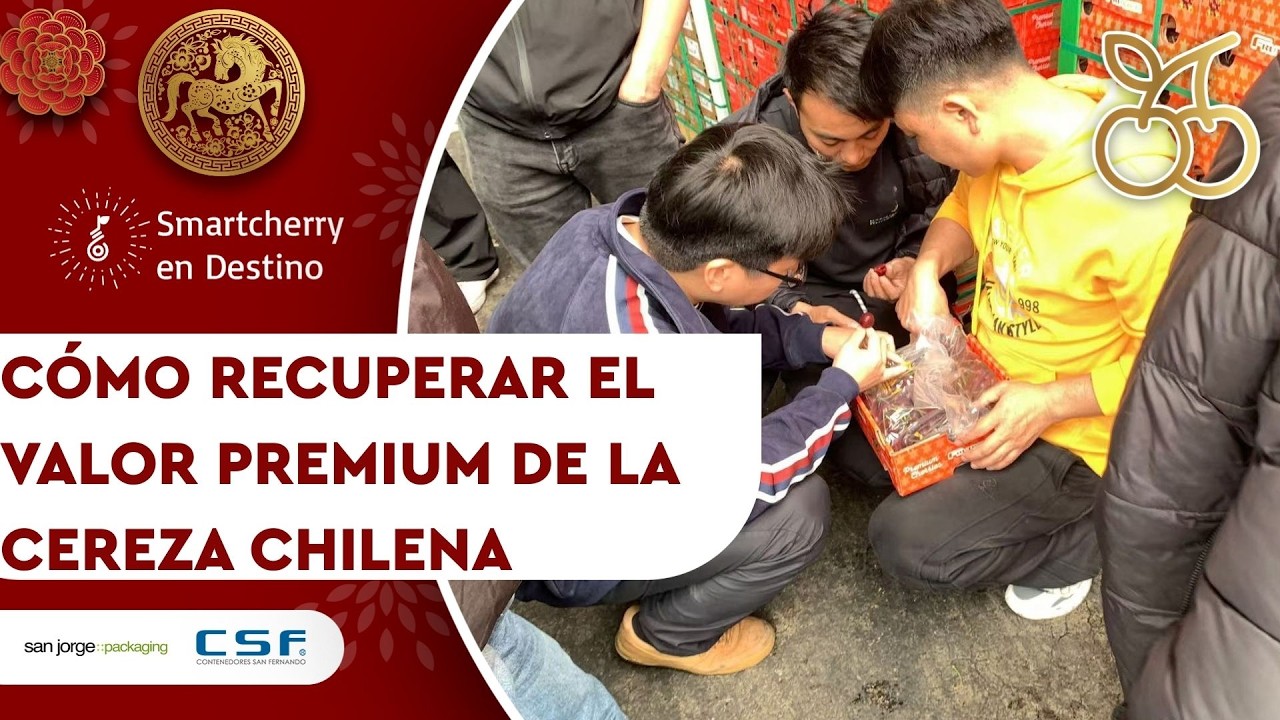 Récord de volumen, dudas por calidad y un mercado exigente: Las claves que dejó temporada en China