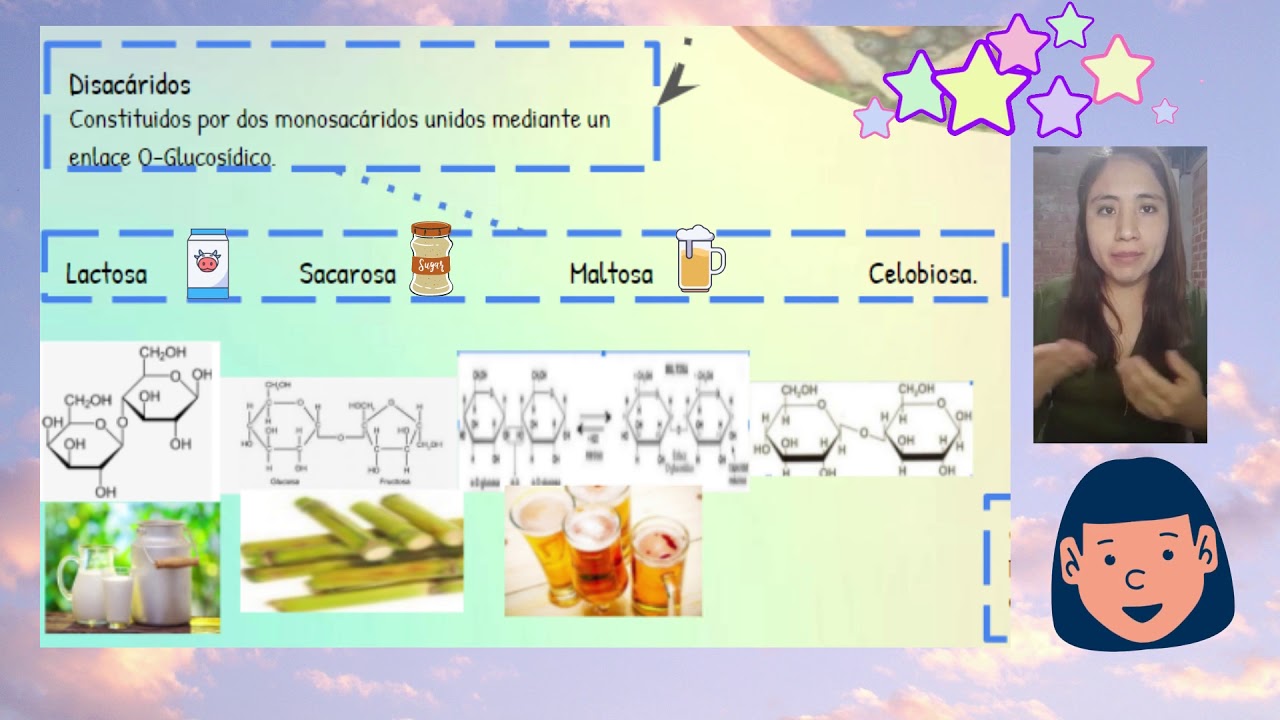 Infografia de  Los Carbohidratos (Grupo 3)