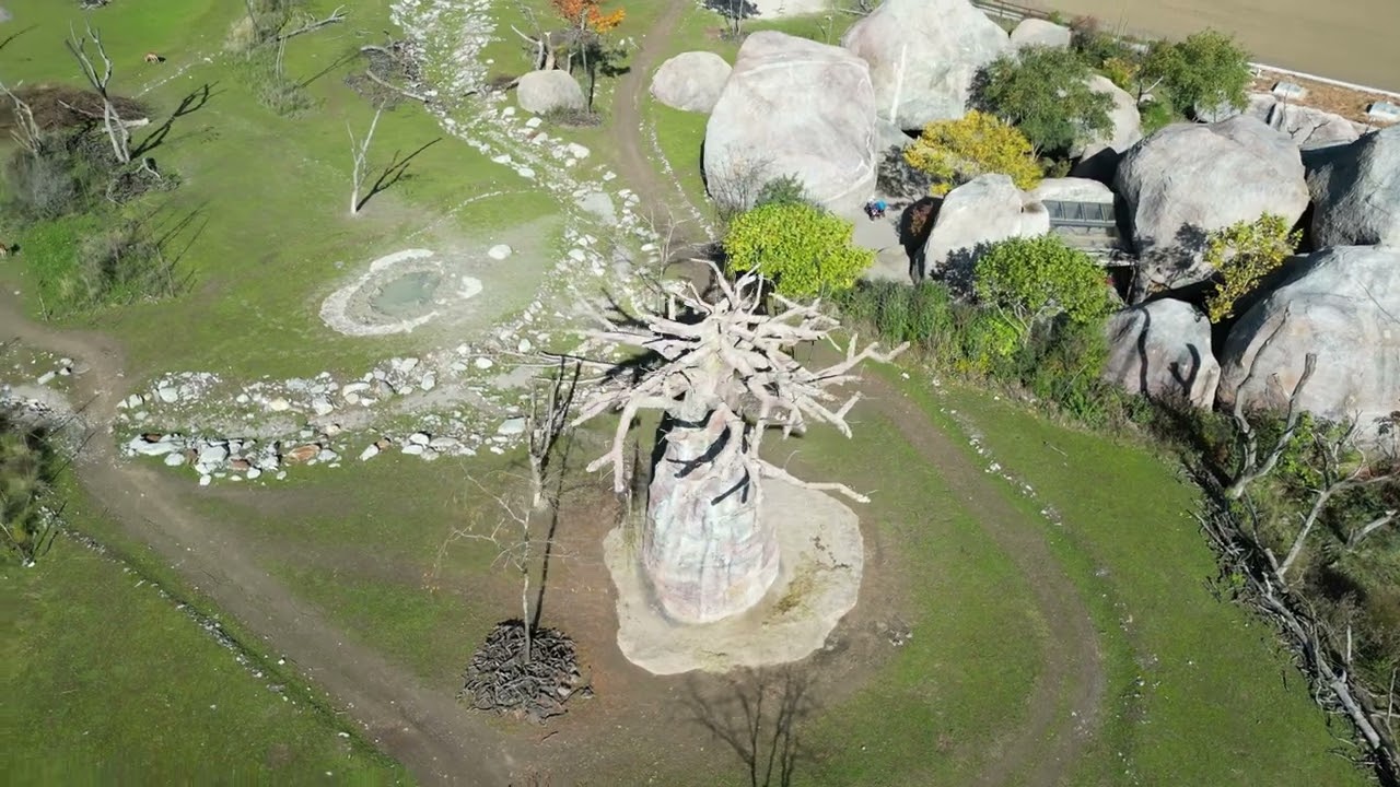 Discover the captivating highlights of Zurich Zoo.