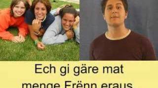 Luxembourgish Lesson 4