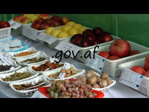 How to pronounce .gov.af?