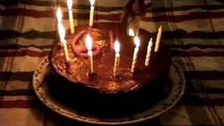 T.Rex/Marc Bolan/Light of Love