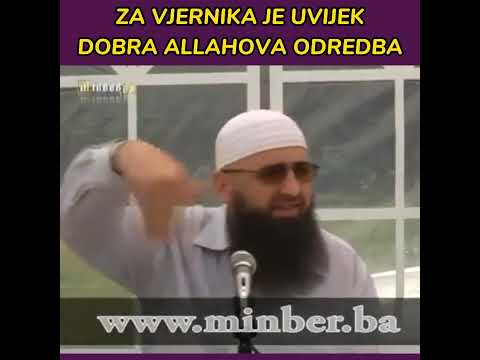 Za vjernika je uvijek dobra Allahova odredba - Dr. Safet Kuduzović