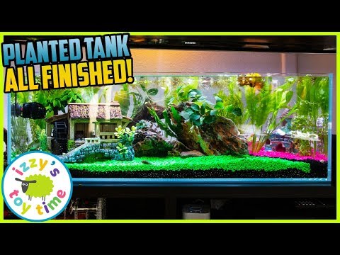 Our Son's Planted Fish Tank IS FINISHED! Fun Toys ! Pets with Izzy's Toy Time