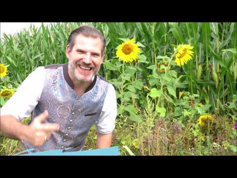 Ja der hod doch an Vogel - Bayerische Witze - Teil 5