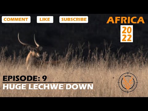 Huge Lechwe Down - Hunting South Africa 2022 - Episode 9: (Dirt Nap)