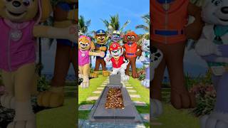 Download lagu Paw Patrol guards the cemetery, the rich die, the poor die mp3