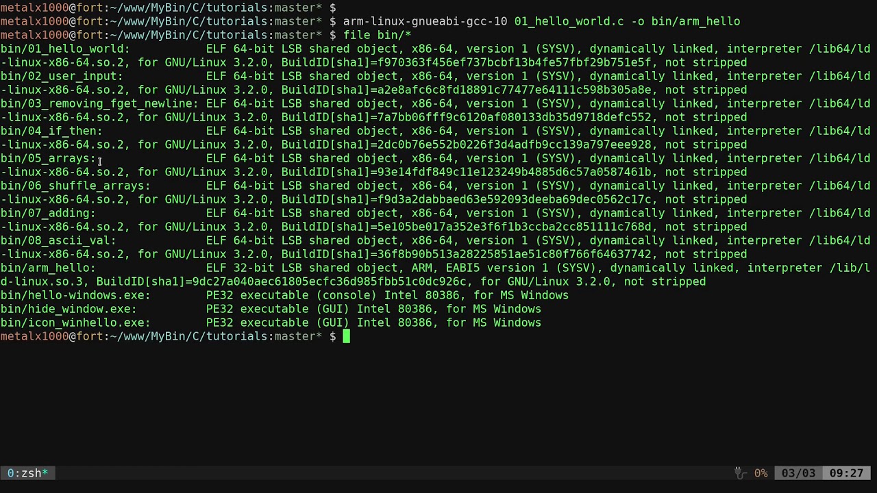 15 C Programming Cross Compile for ARM
