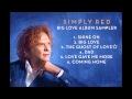 Simply Red - Big Love Album Sampler 