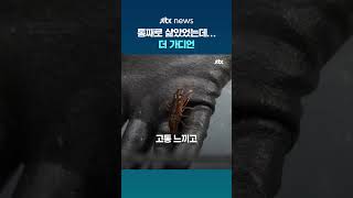 진통제 '약발'도 듣는 가재... 사람과 비슷하다 새 연구 결과 발표 #JTBC #Shorts