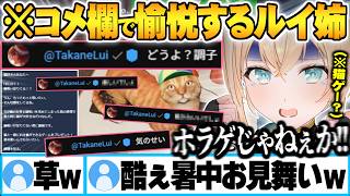 ルイ姉から暑中見舞いで”可愛い猫のゲーム”をプレゼントされまたも騙されるござるとコメ欄に現れ愉悦して帰るルイ姉【風真いろは 鷹嶺ルイ ホロライブ 切り抜き Vtuber】