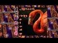 Dr. John - One 2 A.M. Too Many + Food for Thot