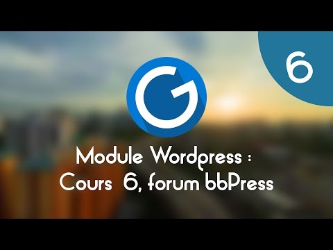 Formation IMM Module Wordpress Cours tuto 6 forum bbPress
