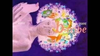 B.Tribe -  Albatros