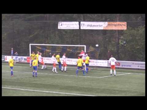 Samenvatting Hatto-Heim - VSCO