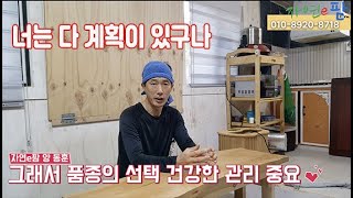 고추 재배 탄저병의 원인과 최선의 예방과 해결점은? 모…